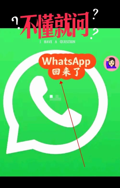 whatsapp安卓下载