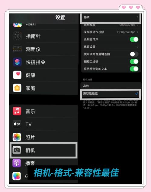 苹果手机相机权限怎么开启