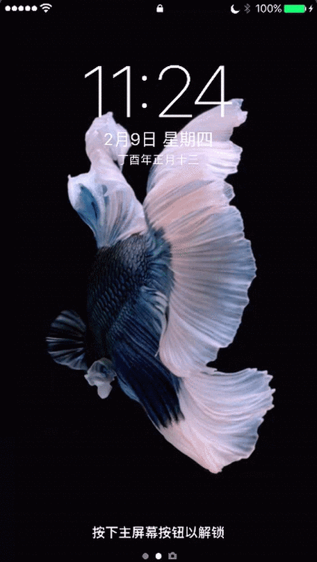 苹果手机怎么设置动态壁纸