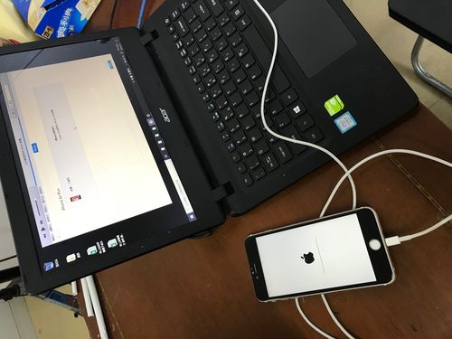 6s不断重启白屏黑苹果