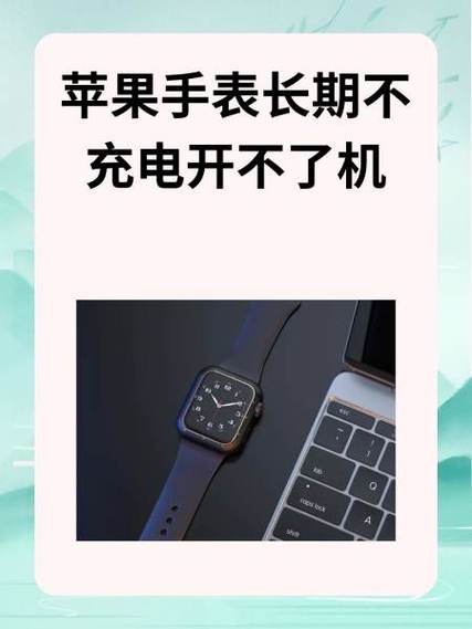 苹果6plus开不了机