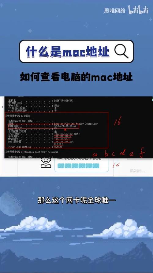 如何查看电脑的mac地址