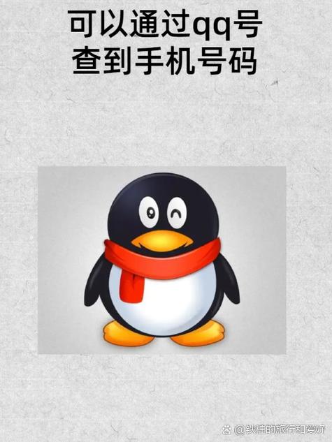 怎么查qq绑定的手机号