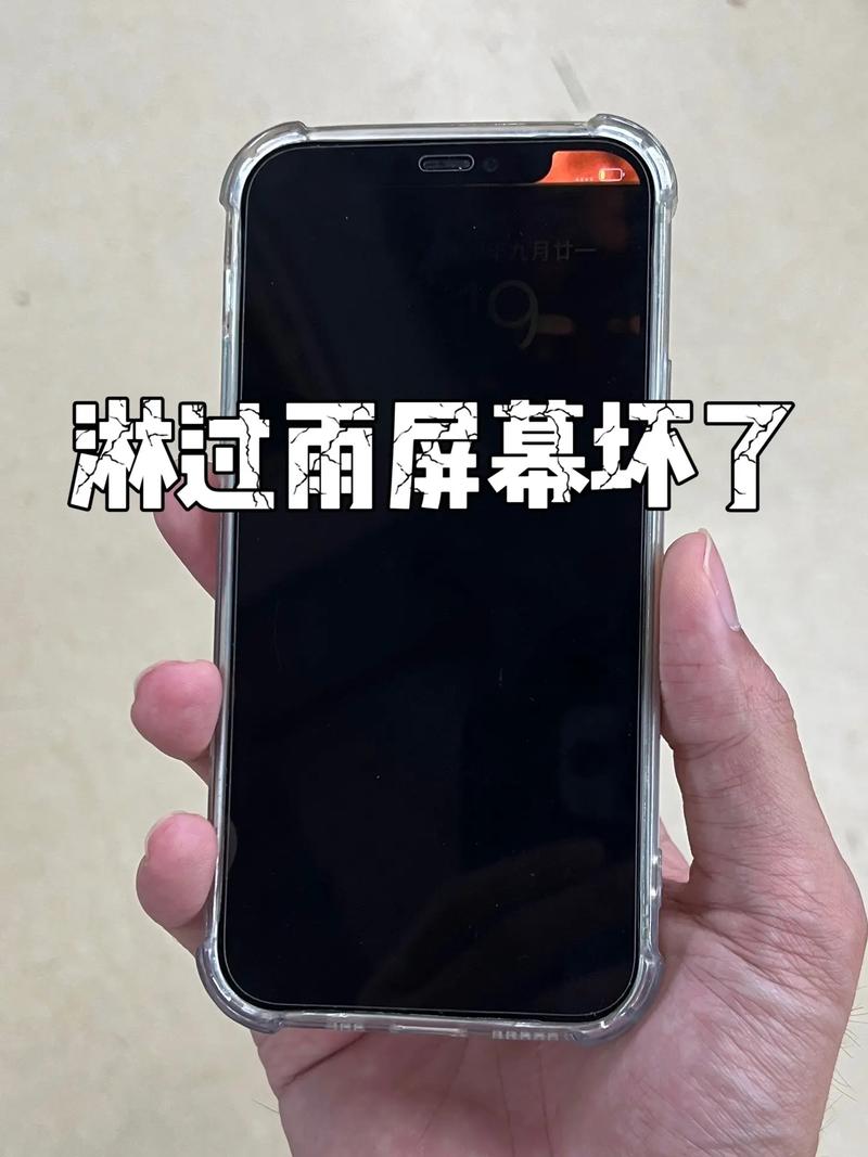 苹果手机进水屏幕有水印