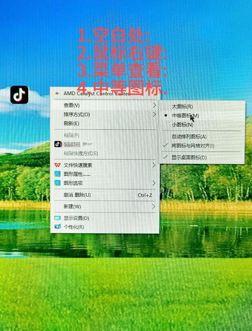 电脑桌面的图标怎么调大小