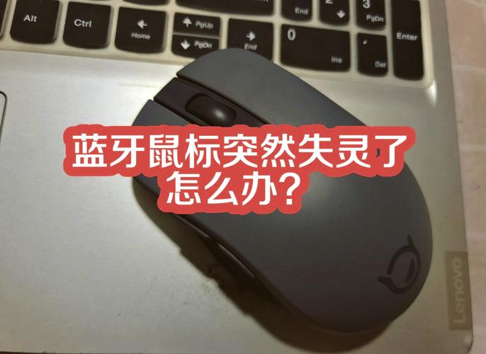 苹果电脑无线鼠标没反应