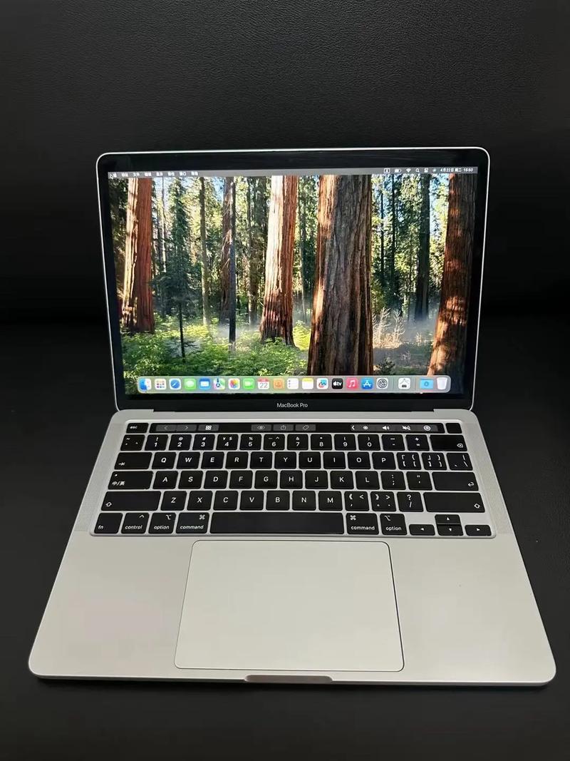 苹果笔记本可以双系统吗