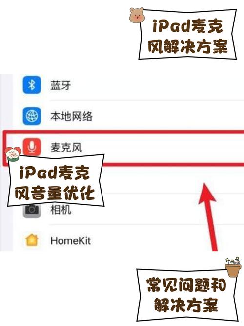 苹果的麦克风设置在哪里
