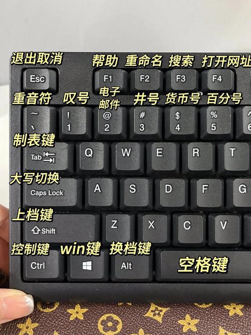 笔记本电脑怎么输入数字