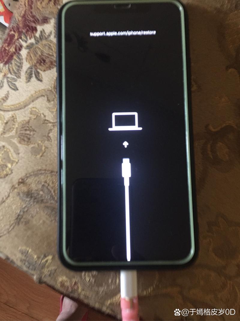 苹果手机自动关机打不开