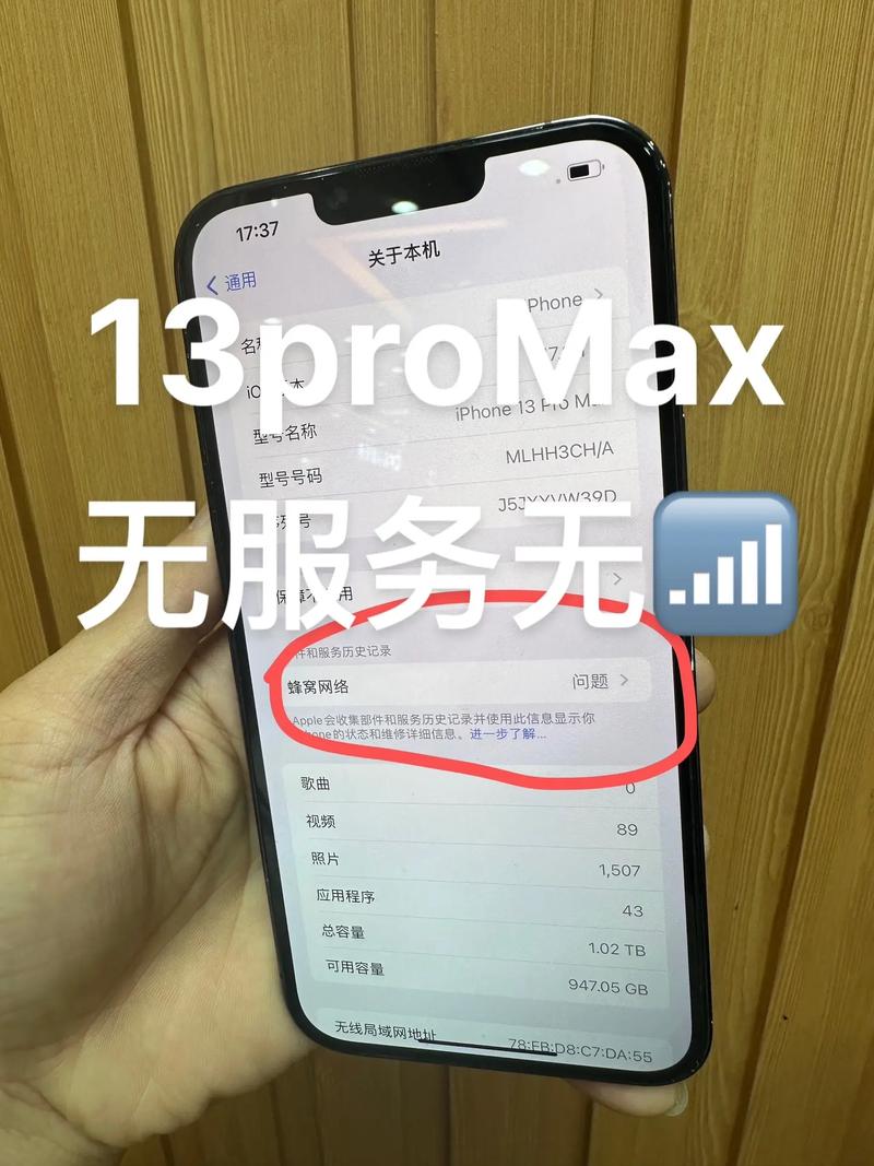 苹果手机蜂窝数据打不开