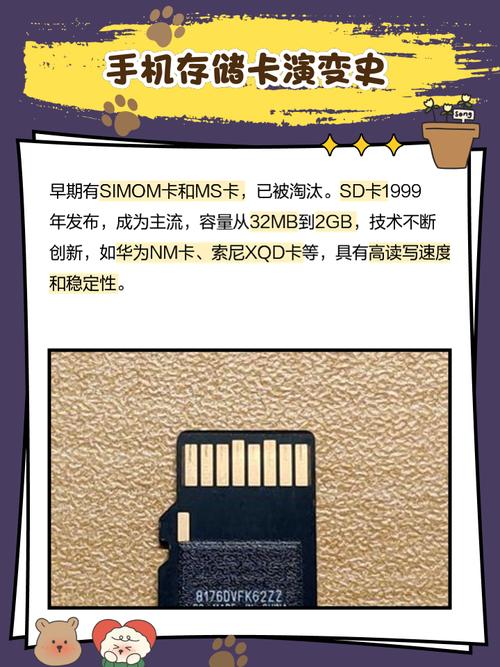 手机内存卡用什么格式好