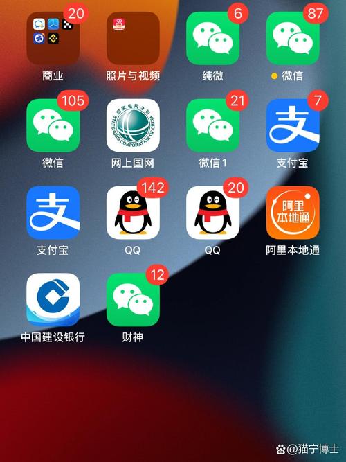 手机应用双开是什么意思