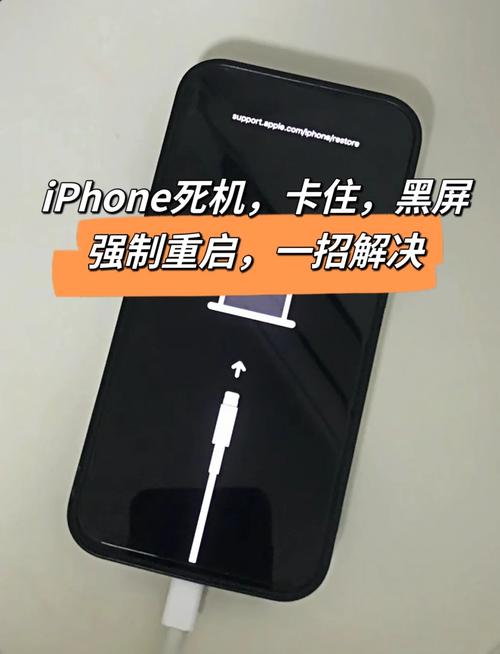 苹果手机黑屏死机怎么办