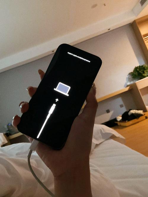 苹果手机怎么突然黑屏了