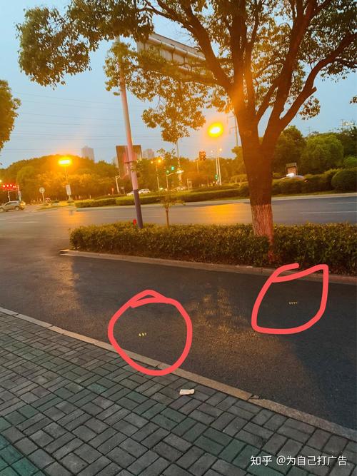 苹果拍出来的照片是反的