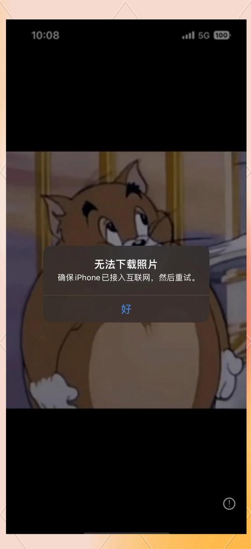 苹果手机有些网站打不开