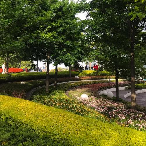 苹果live照片怎么拍