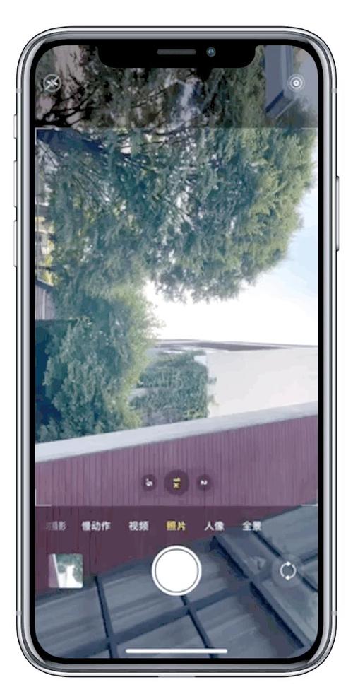 苹果live照片怎么拍