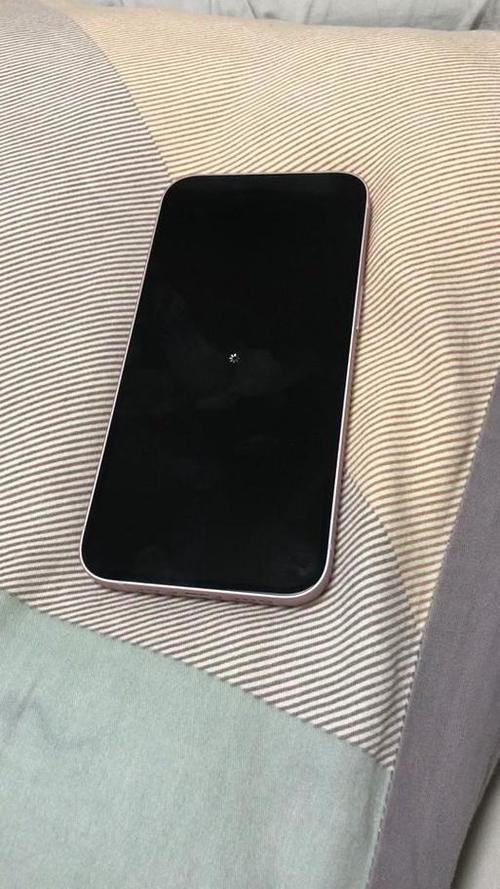 苹果手机后置摄像头黑屏