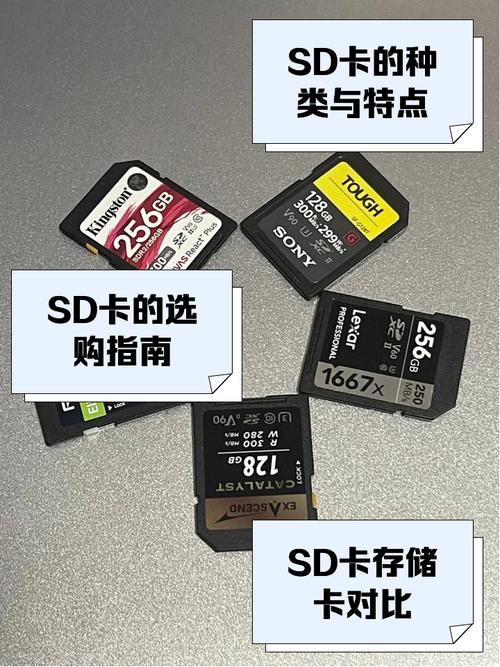 sd卡修复工具 安卓版