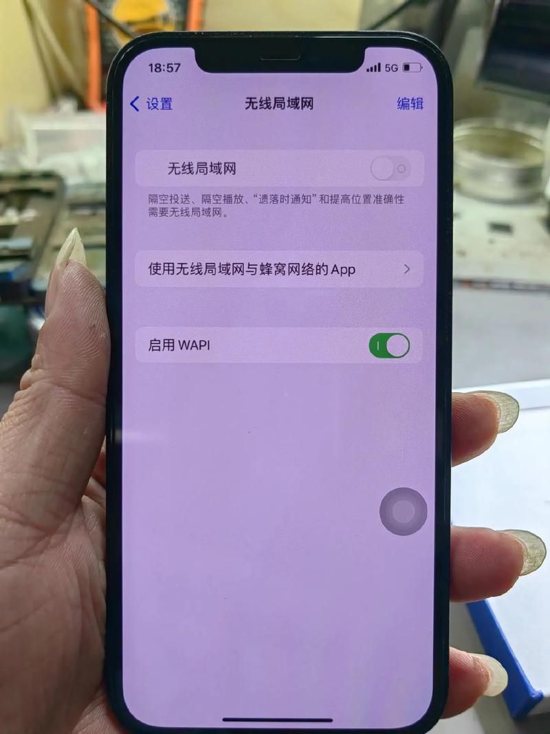 苹果手机wifi点不开