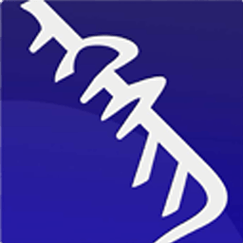 ehshig电脑版下载