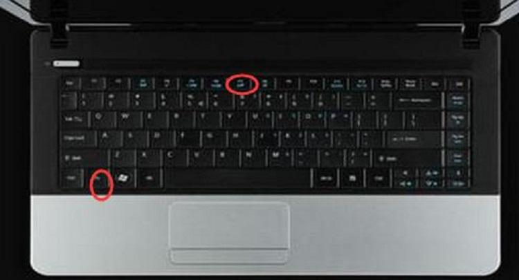 笔记本电脑插鼠标没反应