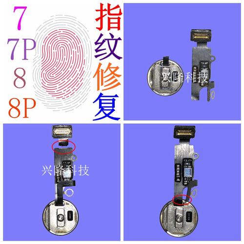 苹果7home键按不动