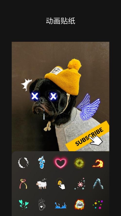 moldiv安卓版下载