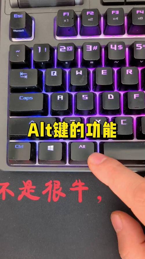 苹果电脑alt键是哪个