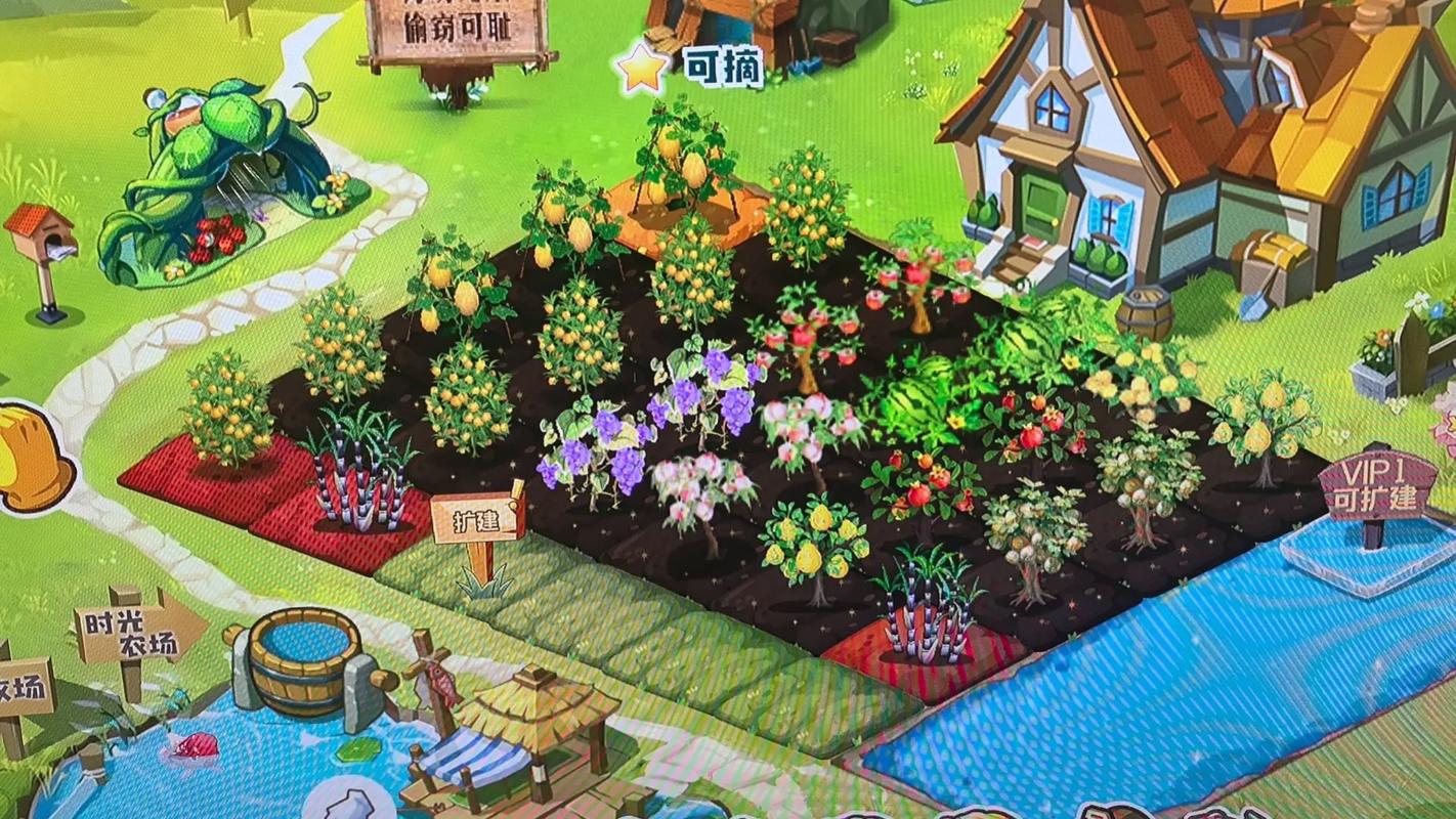 qq农场电脑版下载安装