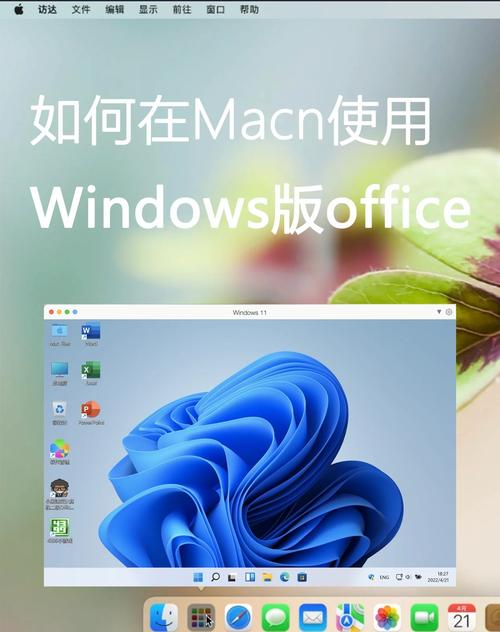 苹果office破解版