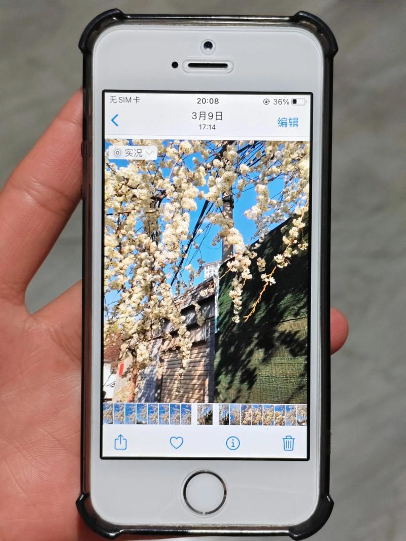 苹果se好还是苹果6好