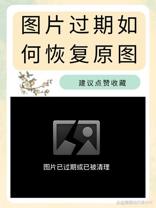 电脑删除的照片如何恢复