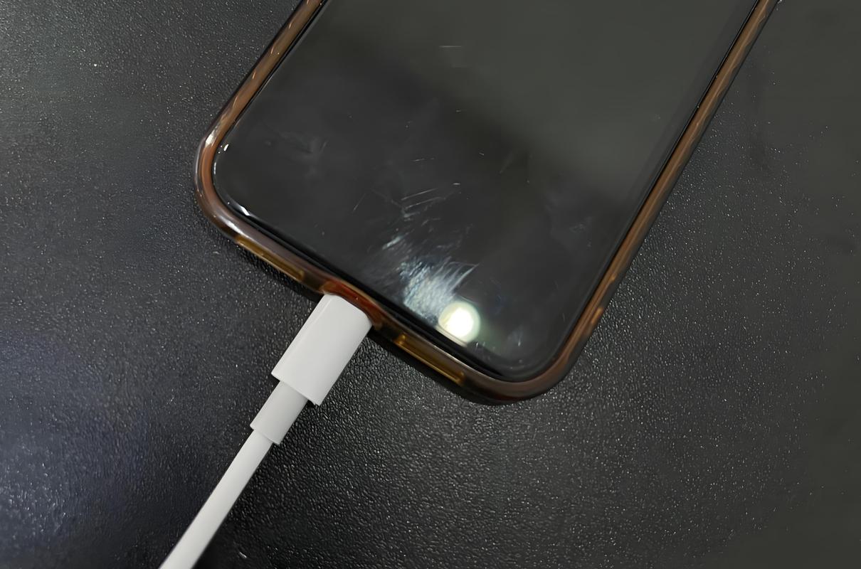 为什么手机充电充不进去