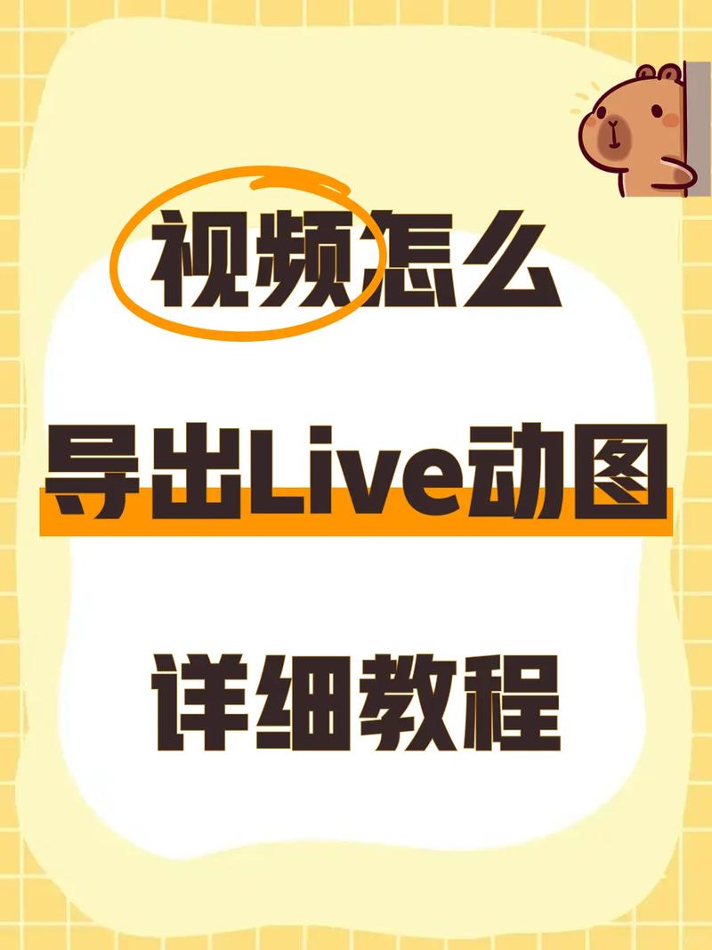 安卓手机b站视频导出