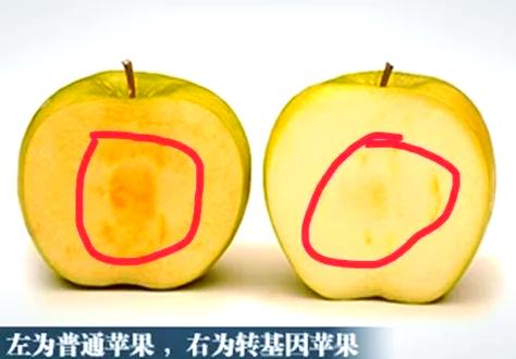 苹果削皮好还是不削皮好