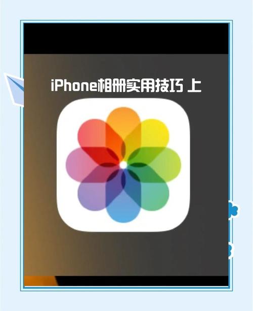 苹果手机照片管理软件