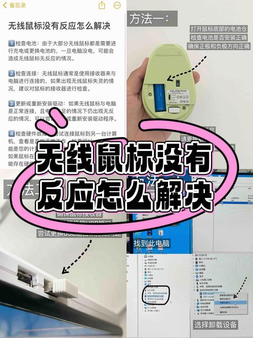 苹果鼠标没反应灯不亮