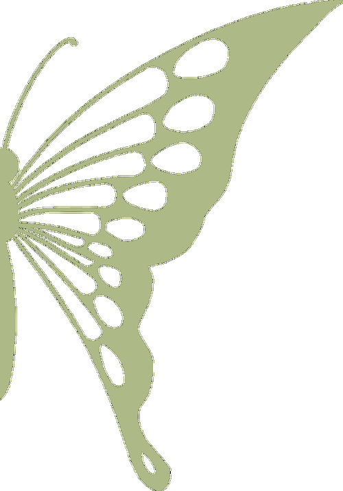 蝴蝶动态壁纸手机壁纸