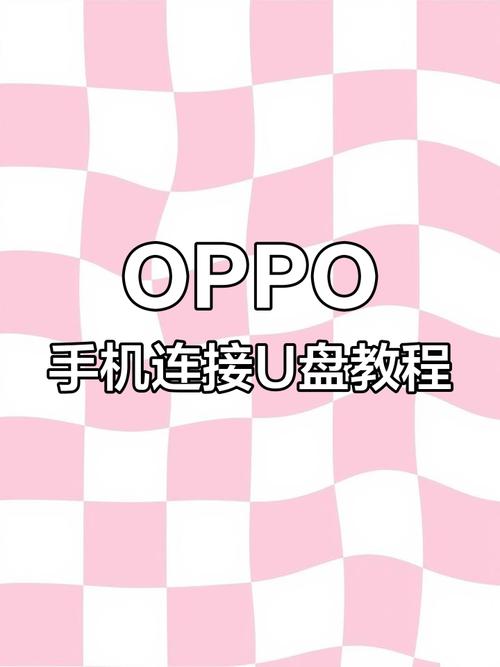 怎么在手机上使用u盘