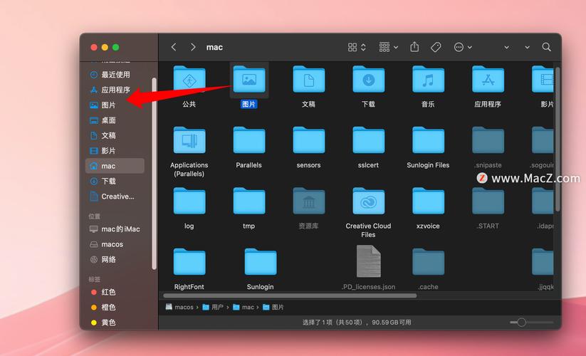 苹果视频在哪个文件夹