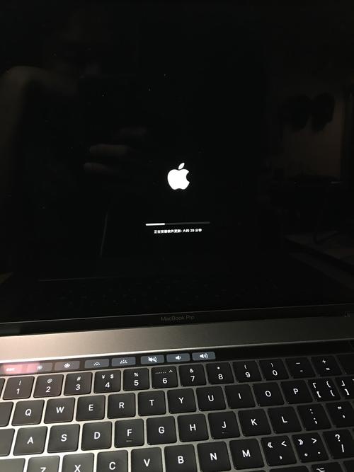 苹果六开机显示白苹果