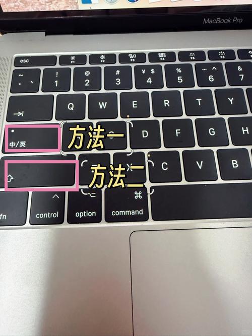 苹果电脑实用工具在哪