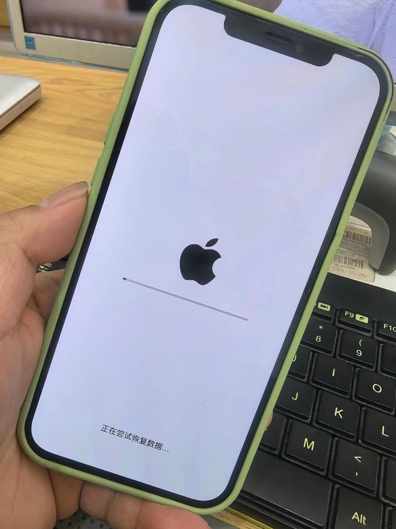 白苹果恢复进度条不动