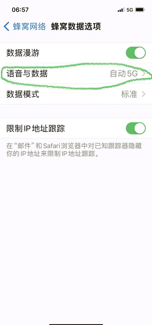 苹果手机如何设置4g