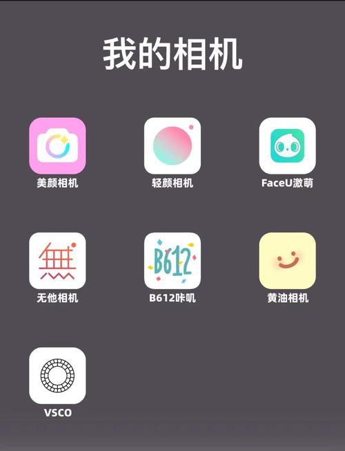 苹果用哪个美颜相机好