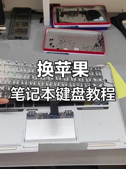 电脑键盘掉了怎么装上去