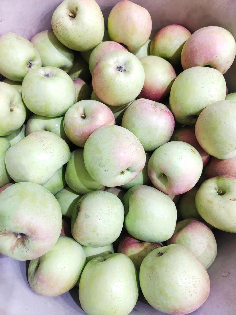 青苹果是没熟的苹果吗